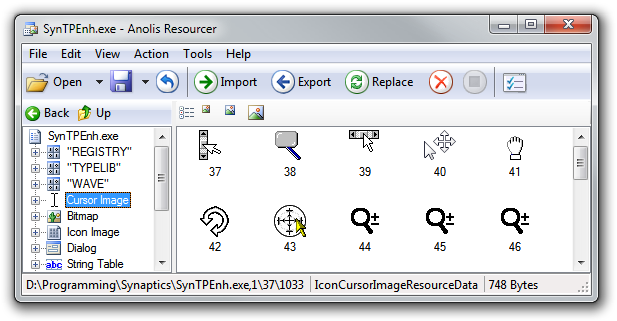 Anolis Resourcer: SynTPEnh.exe (Replaced)